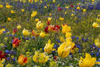 Прикрепленное изображение: IMG_4688.jpg